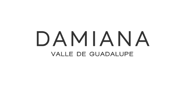 Damiana en Valle de Guadalupe