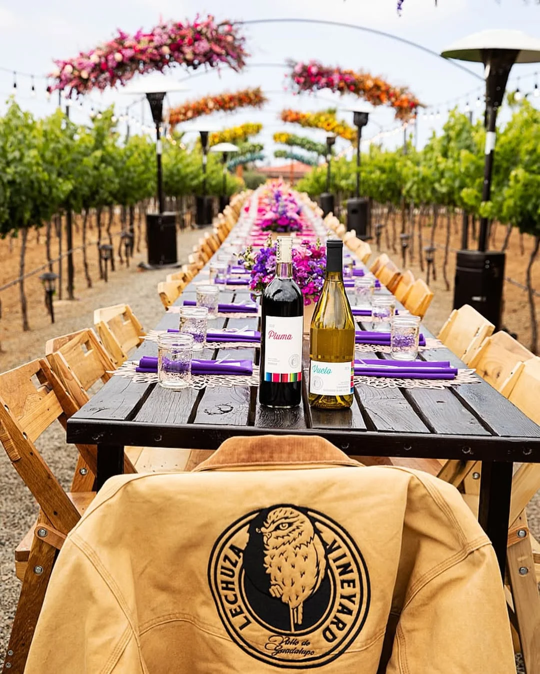 Logo de Lechuza en Valle de Guadalupe