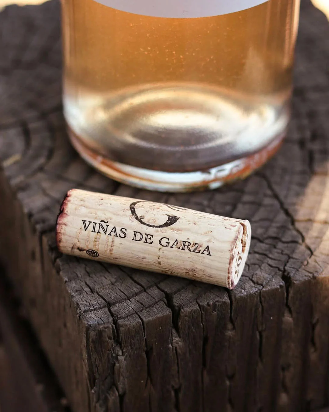 Viñas de Garza en Valle de Guadalupe
